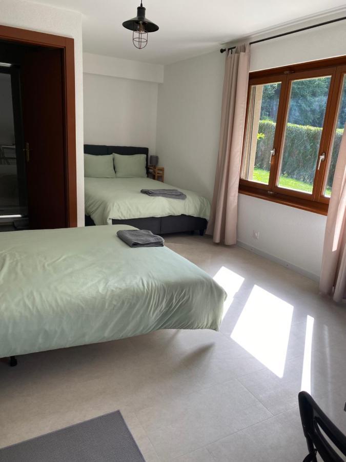 Joli Studio Pres Des Bains De Lavey Exteriér fotografie
